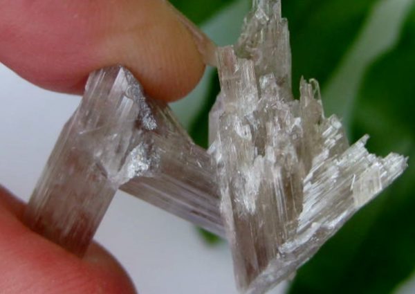 Zultanite® Crystal Mineral Specimen #023 - Image 2