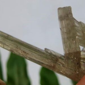 Zultanite® Crystal Mineral Specimen #935